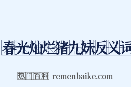 春光灿烂猪九妹反义词是什么意思的图片
